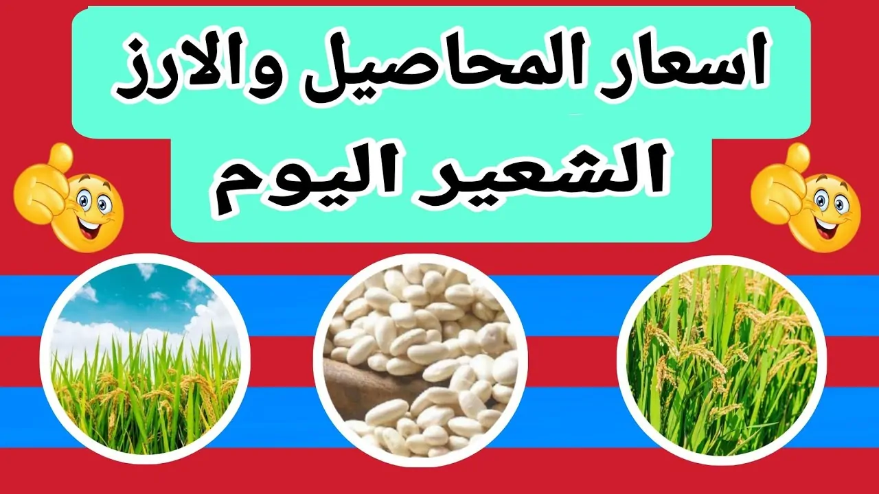 تحديث يومي: سعر طن الأرز الشعير اليوم الاثنين 16-12-2024 للمستهلك في جميع الاسواق وأسعار السلع الاساسية