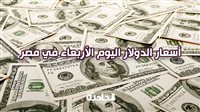 الأخضر بقى بكام؟.. سعر الدولار اليوم الأربعاء في مصر بمعاملات البنوك - بوابة مولانا