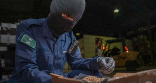 " إحباط 1511 محاولة تهريب ممنوعات خلال أسبوع واحد بالمنافذ الجمركية#إحباط #محاولة #تهريب #ممنوعات #خلال #أسبوع #واحد #بالمنافذ #الجمركية