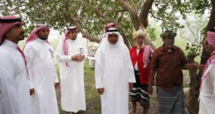 "الزراعة بمنطقة جازان بين الماضي والحاضر"#الزراعة #بمنطقة #جازان #بين #الماضي #والحاضر