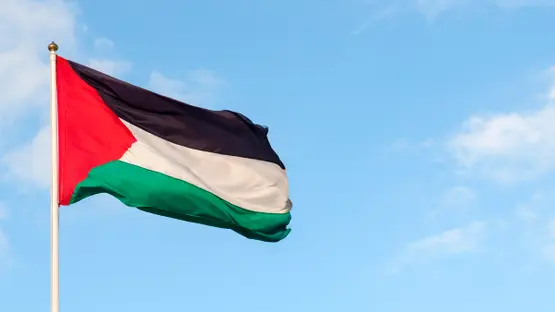 نادي إسباني يدعم فلسطين في بيان رسمي – كل الكورة#نادي #إسباني #يدعم #فلسطين #في #بيان #رسمي #كل #الكورة