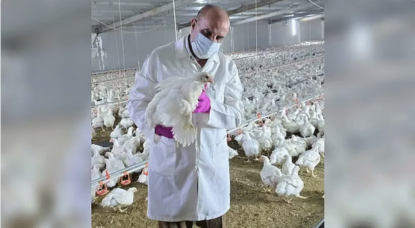 نفوق 12 ألف طائر في بعشيقة وسط مخاوف إقليمية من سلالة (H5N1)#نفوق #ألف #طائر #في #بعشيقة #وسط #مخاوف #إقليمية #من #سلالة #H5N1