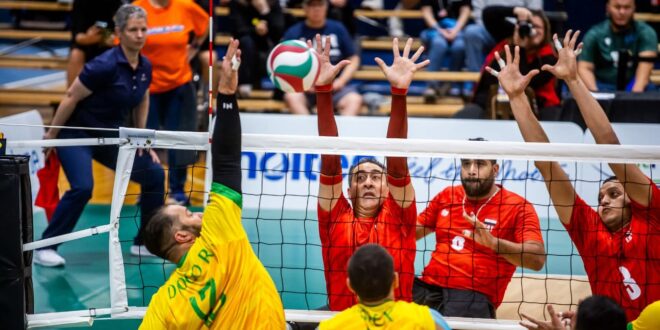 وزير الشباب والرياضة يهنئ منتخب مصر بتتويجه بكأس العالم للكرة الطائرة جلوس#وزير #الشباب #والرياضة #يهنئ #منتخب #مصر #بتتويجه #بكأس #العالم #للكرة #الطائرة #جلوس