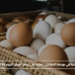 أسعار مستقرة في بورصة الدواجن.. تعرف على سعر البيض اليوم 24 نوفمبر 2025#أسعار #مستقرة #في #بورصة #الدواجن. #تعرف #على #سعر #البيض #اليوم #نوفمبر