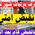 بدءًا من اليوم.. موعد صرف مرتبات نوفمبر 2025 للمعلمين وجميع موظفي الجهاز الإداري للدولة وصرف حافز التدريس#بدءا #من #اليوم. #موعد #صرف #مرتبات #نوفمبر #للمعلمين #وجميع #موظفي #الجهاز #الإداري #للدولة #وصرف #حافز #التدريس