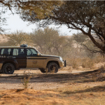 ضبط مخالفًا لنظام البيئة لارتكابه مخالفة رعي في محمية الإمام عبدالعزيز بن محمد الملكية#ضبط #مخالفا #لنظام #البيئة #لارتكابه #مخالفة #رعي #في #محمية #الإمام #عبدالعزيز #بن #محمد #الملكية