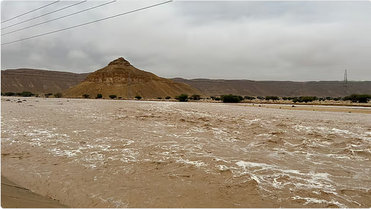 لا تُجازف بعبور الأودية أثناء هطول الأمطار#لا #تجازف #بعبور #الأودية #أثناء #هطول #الأمطار