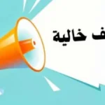11 ألف جنيه.. التقديم على 432 وظيفة شاغرة في القاهرة للشباب من الجنسين#ألف #جنيه. #التقديم #على #وظيفة #شاغرة #في #القاهرة #للشباب #من #الجنسين