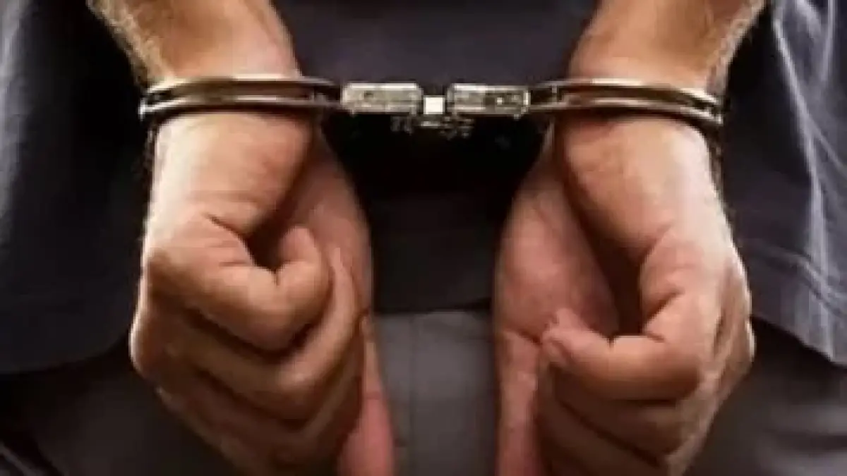 بسبب الشهادات الوهمية.. إحالة متهم بالنصب على المواطنين للمحاكمة العاجلة#بسبب #الشهادات #الوهمية. #إحالة #متهم #بالنصب #على #المواطنين #للمحاكمة #العاجلة