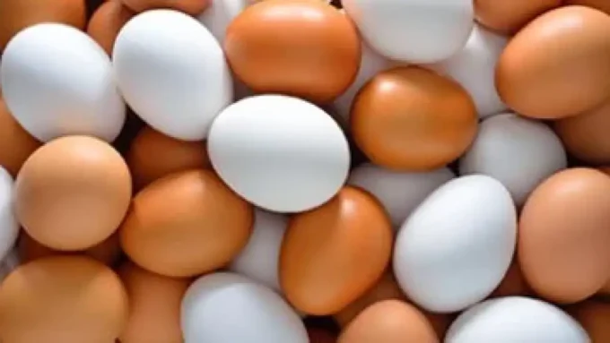 تحديثات الأسعار بالقليوبية.. تباين جديد في سعر كرتونة البيض داخل الأسواق اليوم#تحديثات #الأسعار #بالقليوبية. #تباين #جديد #في #سعر #كرتونة #البيض #داخل #الأسواق #اليوم