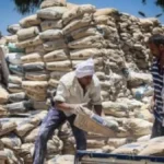 تحديثات الأسعار.. تباين جديد في سعر طن الأسمنت بمختلف المحافظات المصرية#تحديثات #الأسعار. #تباين #جديد #في #سعر #طن #الأسمنت #بمختلف #المحافظات #المصرية