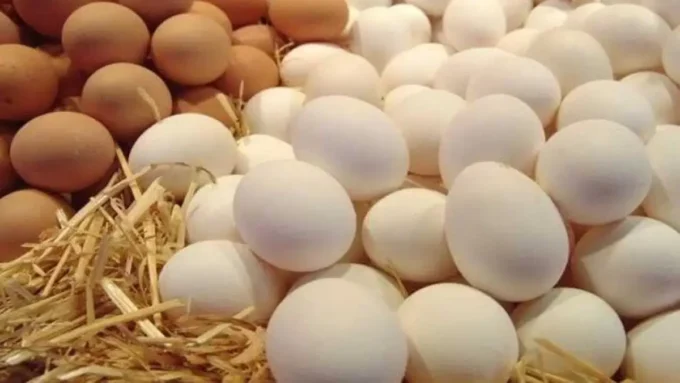 تحديثات الأسواق.. سعر كرتونة البيض داخل المزارع والمحلات خلال تعاملات السبت وتأثيرها على المستهلكين#تحديثات #الأسواق. #سعر #كرتونة #البيض #داخل #المزارع #والمحلات #خلال #تعاملات #السبت #وتأثيرها #على #المستهلكين