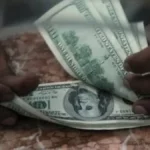 سعر الصرف الصباحي.. استقرار الدولار أمام الجنيه المصري قبل انطلاق التعاملات البنكية اليومية#سعر #الصرف #الصباحي. #استقرار #الدولار #أمام #الجنيه #المصري #قبل #انطلاق #التعاملات #البنكية #اليومية