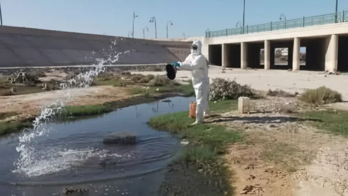 كارثة بيئية في العريش تغرق منازل مياه المجاري وتثير معاناة الأهالي من الروائح الكريهة#كارثة #بيئية #في #العريش #تغرق #منازل #مياه #المجاري #وتثير #معاناة #الأهالي #من #الروائح #الكريهة