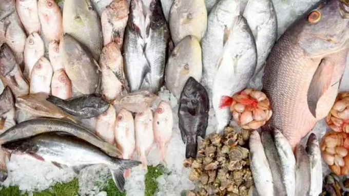 300 جنيه للبربوني.. قفزة مفاجئة في أسعار الأسماك تصدم المتسوقين بسوق العبور اليوم#جنيه #للبربوني. #قفزة #مفاجئة #في #أسعار #الأسماك #تصدم #المتسوقين #بسوق #العبور #اليوم