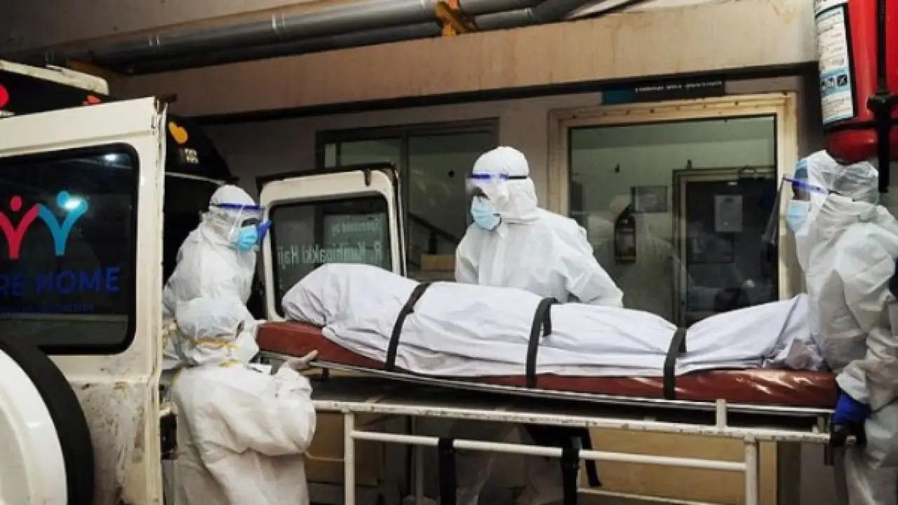 75% وفيات فاجعة.. صدمة بريطانية من فيروس نيباه الخطير#وفيات #فاجعة. #صدمة #بريطانية #من #فيروس #نيباه #الخطير