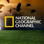 أسرار عالم البحار.. تردد ناشيونال جيوغرافيك الجديد 2026 ينهي معاناة تشفير القنوات#أسرار #عالم #البحار. #تردد #ناشيونال #جيوغرافيك #الجديد #ينهي #معاناة #تشفير #القنوات