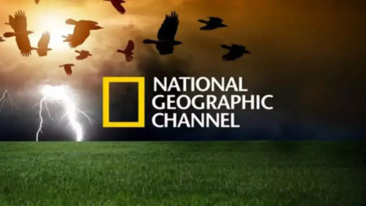 أسرار عالم البحار.. تردد ناشيونال جيوغرافيك الجديد 2026 ينهي معاناة تشفير القنوات#أسرار #عالم #البحار. #تردد #ناشيونال #جيوغرافيك #الجديد #ينهي #معاناة #تشفير #القنوات