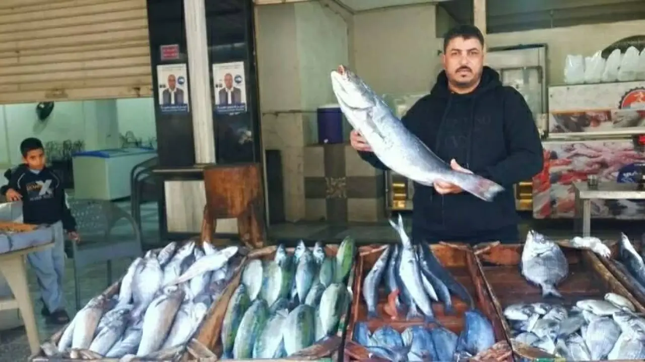 أسعار السمك بمطروح.. قفزة مفاجئة في ثمن البوري تصدم الأهالي قبل موسم الصيد الجديد#أسعار #السمك #بمطروح. #قفزة #مفاجئة #في #ثمن #البوري #تصدم #الأهالي #قبل #موسم #الصيد #الجديد