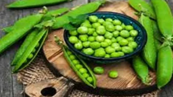 أطباق البسلة المجمدة.. تحذير طبي يحسم الجدل حول مخاطر خفية تهدد سلامة أسرتك#أطباق #البسلة #المجمدة. #تحذير #طبي #يحسم #الجدل #حول #مخاطر #خفية #تهدد #سلامة #أسرتك