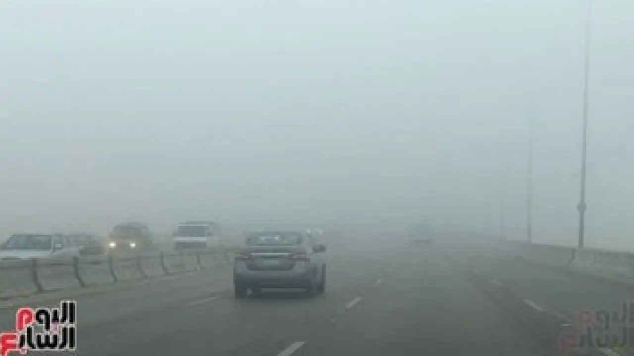 أمان الطرق السريعة.. كيف تدار حركة تفويج السيارات أثناء الشبورة والأمطار؟#أمان #الطرق #السريعة. #كيف #تدار #حركة #تفويج #السيارات #أثناء #الشبورة #والأمطار