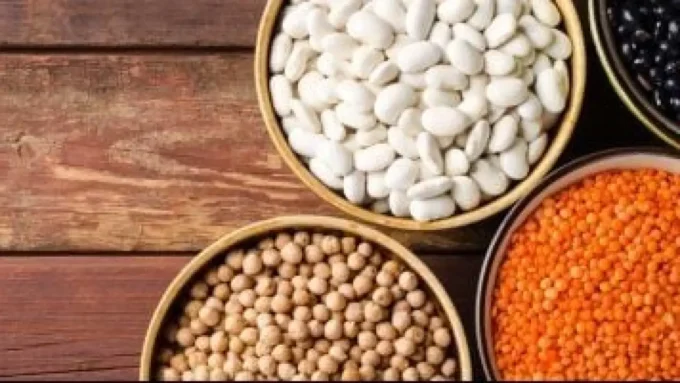 العدس بـ 52 جنيها.. تحديث أسعار البقوليات في أسواق كفر الشيخ اليوم#العدس #بـ #جنيها. #تحديث #أسعار #البقوليات #في #أسواق #كفر #الشيخ #اليوم