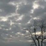 انخفاض 6 درجات.. الأرصاد الجوية توضح تغيرات حالة الطقس المتوقعة يوم الجمعة#انخفاض #درجات. #الأرصاد #الجوية #توضح #تغيرات #حالة #الطقس #المتوقعة #يوم #الجمعة