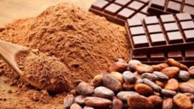 انهيار أسعار الكاكاو.. تحرك مفاجئ من كبار المصدرين يربك حسابات موسم الحصاد الجديد#انهيار #أسعار #الكاكاو. #تحرك #مفاجئ #من #كبار #المصدرين #يربك #حسابات #موسم #الحصاد #الجديد