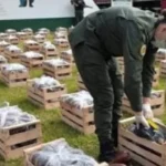 بمساعدة كلب شرطي.. السلطات الأرجنتينية تحبط تهريب 31 كيلو كوكايين داخل ثمار الباذنجان#بمساعدة #كلب #شرطي. #السلطات #الأرجنتينية #تحبط #تهريب #كيلو #كوكايين #داخل #ثمار #الباذنجان