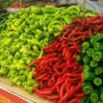 تحديث الأسعار.. قائمة أسعار الخضار والفاكهة في أسواق المنوفية اليوم الأربعاء#تحديث #الأسعار. #قائمة #أسعار #الخضار #والفاكهة #في #أسواق #المنوفية #اليوم #الأربعاء