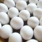 تحديثات الأسعار.. تباين سعر كرتونة البيض للمستهلك بمحلات التجزئة والأسواق المصرية#تحديثات #الأسعار. #تباين #سعر #كرتونة #البيض #للمستهلك #بمحلات #التجزئة #والأسواق #المصرية