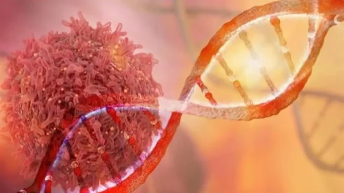 تحذير طبي صارم.. فئات محددة تدخل دائرة الخطر والإصابة بالسرطان مطلع 2026#تحذير #طبي #صارم. #فئات #محددة #تدخل #دائرة #الخطر #والإصابة #بالسرطان #مطلع