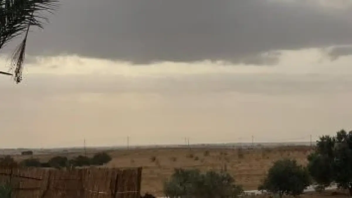 تحذير لجميع المزارعين.. 5 نصائح من مركز المناخ لحماية المحاصيل من موجة البرد#تحذير #لجميع #المزارعين. #نصائح #من #مركز #المناخ #لحماية #المحاصيل #من #موجة #البرد