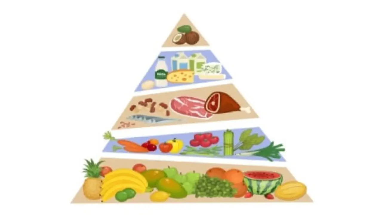 تغيير جذري بمائدة المصريين.. قرار من وزارة الصحة ينهي عصر الهرم الغذائي القديم#تغيير #جذري #بمائدة #المصريين. #قرار #من #وزارة #الصحة #ينهي #عصر #الهرم #الغذائي #القديم