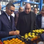 توجيهات حاسمة من بنها.. قرار وزاري ينهي أزمات المصانع المتعثرة ويبدأ عهداً جديداً#توجيهات #حاسمة #من #بنها. #قرار #وزاري #ينهي #أزمات #المصانع #المتعثرة #ويبدأ #عهدا #جديدا