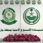 *دوريات الأفواج الأمنية بمنطقة جازان تقبض على شخص لترويجه (8) كيلو جرامات من نبات القات المخدر*#دوريات #الأفواج #الأمنية #بمنطقة #جازان #تقبض #على #شخص #لترويجه #كيلو #جرامات #من #نبات #القات #المخدر