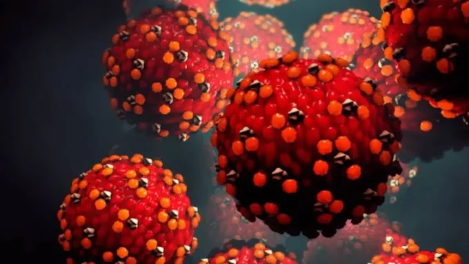 رعب في المحيط.. فيروس غامض يفتك بركاب سفينة سياحية ويصيب العشرات بذهول#رعب #في #المحيط. #فيروس #غامض #يفتك #بركاب #سفينة #سياحية #ويصيب #العشرات #بذهول