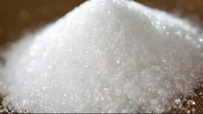 سعر السكر يسجل مستويات جديدة في تعاملات الخميس وسط تباين المعروض بالأسواق المحلية#سعر #السكر #يسجل #مستويات #جديدة #في #تعاملات #الخميس #وسط #تباين #المعروض #بالأسواق #المحلية