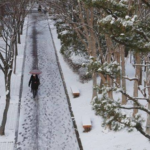 شتاء كوريا يتجمد.. موجة قطبية تضرب البلاد والحرارة تهبط لما دون 17 درجة مئوية#شتاء #كوريا #يتجمد. #موجة #قطبية #تضرب #البلاد #والحرارة #تهبط #لما #دون #درجة #مئوية