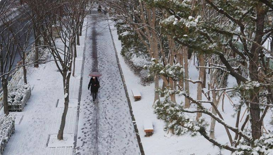 شتاء كوريا يتجمد.. موجة قطبية تضرب البلاد والحرارة تهبط لما دون 17 درجة مئوية#شتاء #كوريا #يتجمد. #موجة #قطبية #تضرب #البلاد #والحرارة #تهبط #لما #دون #درجة #مئوية