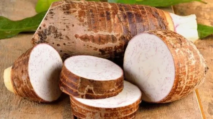 طقوس عيد الغطاس.. سر المذاق الذي يجمع العائلات المصرية بوصفات لا تخطر ببالك#طقوس #عيد #الغطاس. #سر #المذاق #الذي #يجمع #العائلات #المصرية #بوصفات #لا #تخطر #ببالك