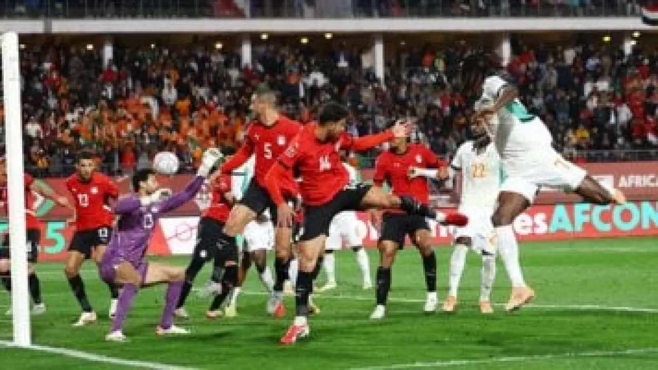 عقدة الأفيال التاريخية.. كيف كرس الفراعنة هيمنة الرعب المصري في أدغال أفريقيا؟#عقدة #الأفيال #التاريخية. #كيف #كرس #الفراعنة #هيمنة #الرعب #المصري #في #أدغال #أفريقيا