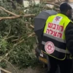 عواصف تضرب إسرائيل.. رياح عاتية تقتلع الأشجار وأمطار غزيرة تغلق شوارع رئيسية#عواصف #تضرب #إسرائيل. #رياح #عاتية #تقتلع #الأشجار #وأمطار #غزيرة #تغلق #شوارع #رئيسية