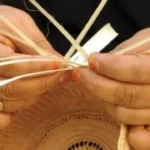 فئة محدودة الدخل.. قرار جديد يحسم مصير وثيقة التأمين متناهي الصغر لعام 2026#فئة #محدودة #الدخل. #قرار #جديد #يحسم #مصير #وثيقة #التأمين #متناهي #الصغر #لعام