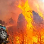 فاجعة في تشيلي.. النيران تلتهم الغابات وحصيلة الضحايا تثير رعباً دولياً مطلع 2026#فاجعة #في #تشيلي. #النيران #تلتهم #الغابات #وحصيلة #الضحايا #تثير #رعبا #دوليا #مطلع