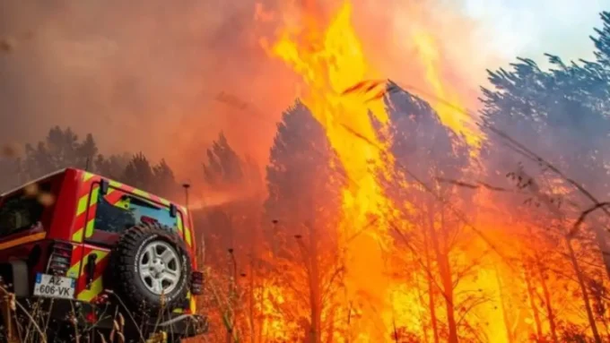 فاجعة في تشيلي.. النيران تلتهم الغابات وحصيلة الضحايا تثير رعباً دولياً مطلع 2026#فاجعة #في #تشيلي. #النيران #تلتهم #الغابات #وحصيلة #الضحايا #تثير #رعبا #دوليا #مطلع