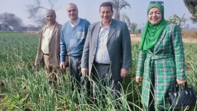 لدعم المزارعين.. "الزراعة" تُكثف متابعتها الميدانية للمحاصيل الإستراتيجية ببني سويف#لدعم #المزارعين. #الزراعة #تكثف #متابعتها #الميدانية #للمحاصيل #الإستراتيجية #ببني #سويف