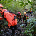 مأساة في سولاويزي.. فرق الإنقاذ تعثر على حطام طائرة إندونيسية مفقودة وعلى متنها 11 شخصاً#مأساة #في #سولاويزي. #فرق #الإنقاذ #تعثر #على #حطام #طائرة #إندونيسية #مفقودة #وعلى #متنها #شخصا