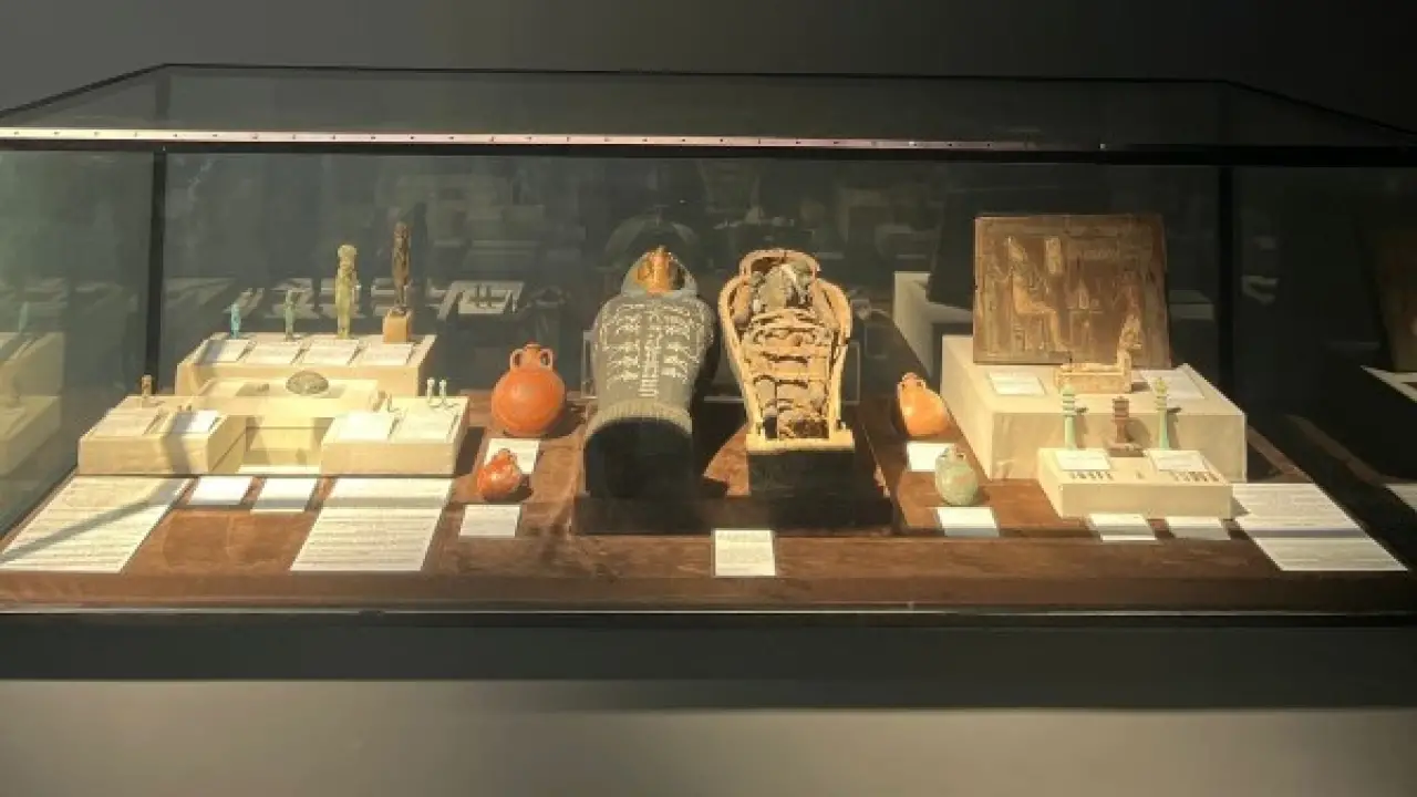 متحف شرم الشيخ.. مسابقة بصورة سيلفي تمنح الزوار فرصة استثنائية غير متوقعة#متحف #شرم #الشيخ. #مسابقة #بصورة #سيلفي #تمنح #الزوار #فرصة #استثنائية #غير #متوقعة