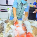 مخالفات في أسواق الأسماك بجدة واتلاف أكثر من طن أسماك#مخالفات #في #أسواق #الأسماك #بجدة #واتلاف #أكثر #من #طن #أسماك